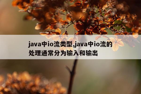 java中io流类型,java中io流的处理通常分为输入和输出