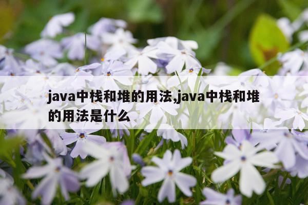 java中栈和堆的用法,java中栈和堆的用法是什么