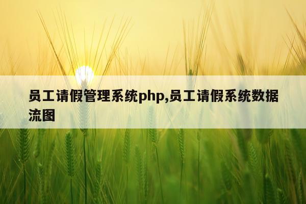 员工请假管理系统php,员工请假系统数据流图