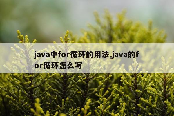 java中for循环的用法,java的for循环怎么写