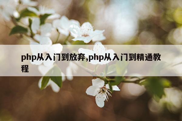 php从入门到放弃,php从入门到精通教程