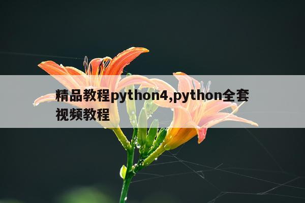精品教程python4,python全套视频教程