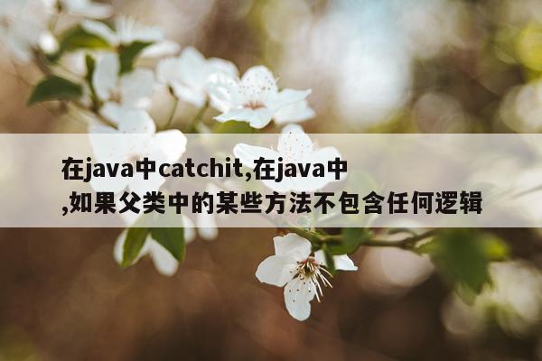 在java中catchit,在java中,如果父类中的某些方法不包含任何逻辑