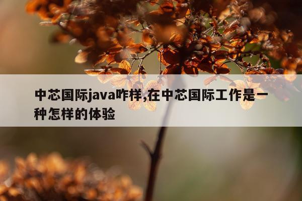 中芯国际java咋样,在中芯国际工作是一种怎样的体验