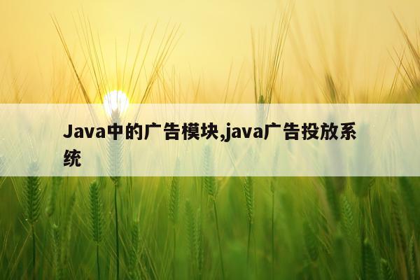 Java中的广告模块,java广告投放系统