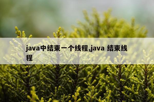 java中结束一个线程,java 结束线程