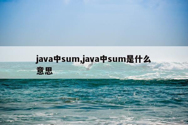 java中sum,java中sum是什么意思