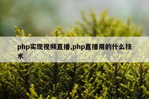 php实现视频直播,php直播用的什么技术