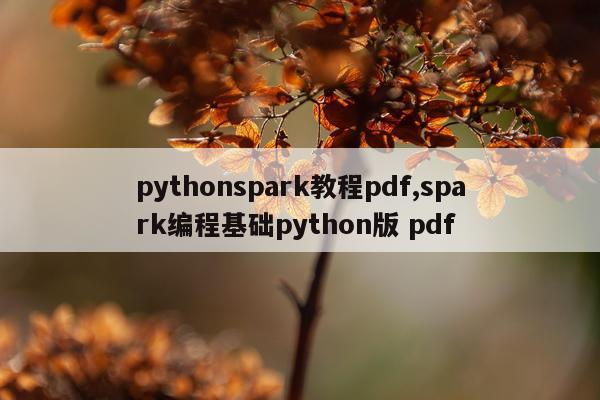 pythonspark教程pdf,spark编程基础python版 pdf