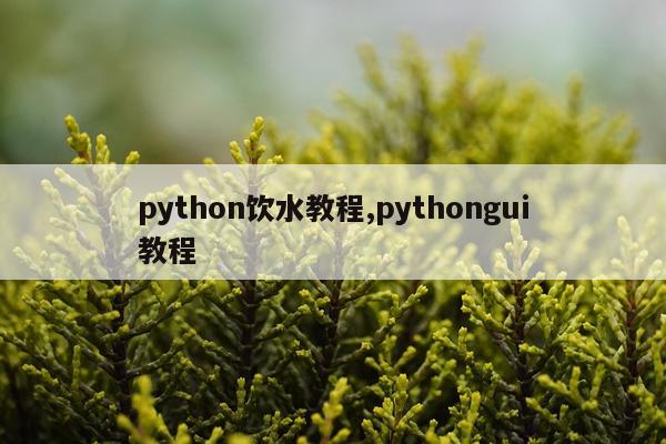 python饮水教程,pythongui教程