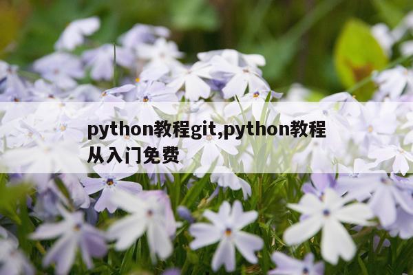 python教程git,python教程从入门免费