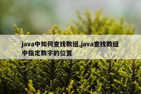 java中如何查找数组,java查找数组中指定数字的位置