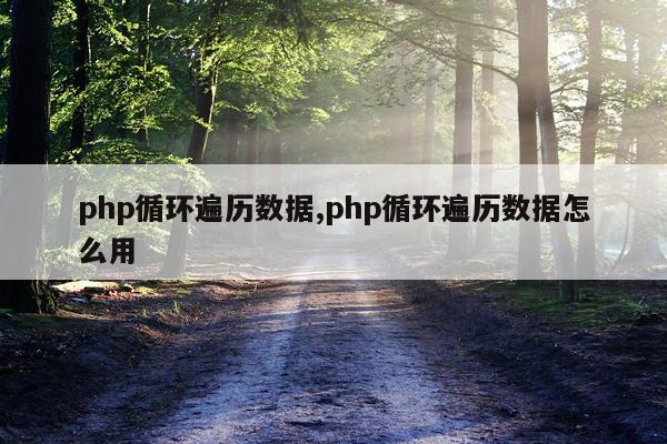 php循环遍历数据,php循环遍历数据怎么用