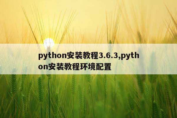 python安装教程3.6.3,python安装教程环境配置