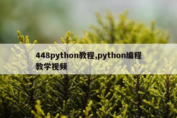 448python教程,python编程教学视频