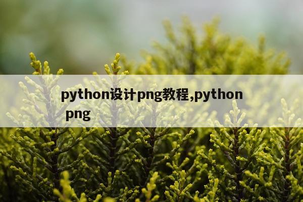 python设计png教程,python png