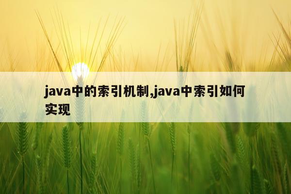 java中的索引机制,java中索引如何实现