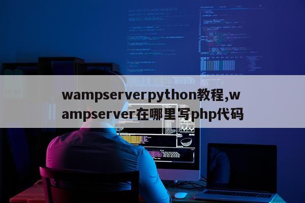 wampserverpython教程,wampserver在哪里写php代码
