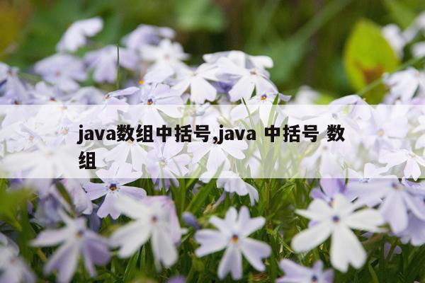 java数组中括号,java 中括号 数组
