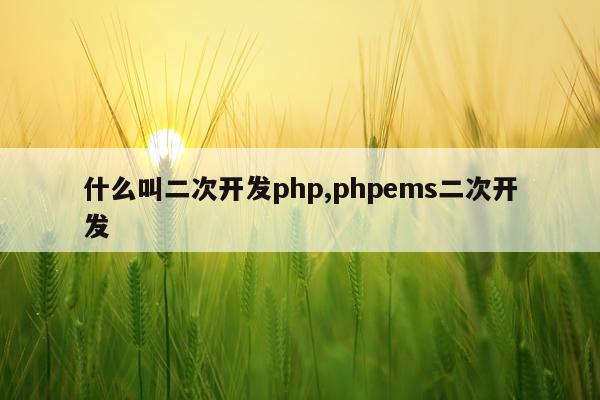 什么叫二次开发php,phpems二次开发