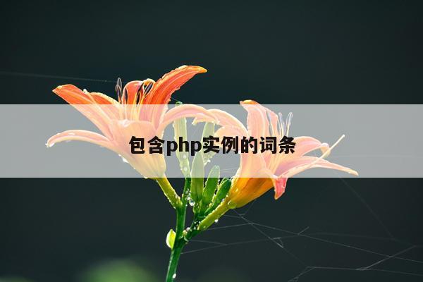 包含php实例的词条