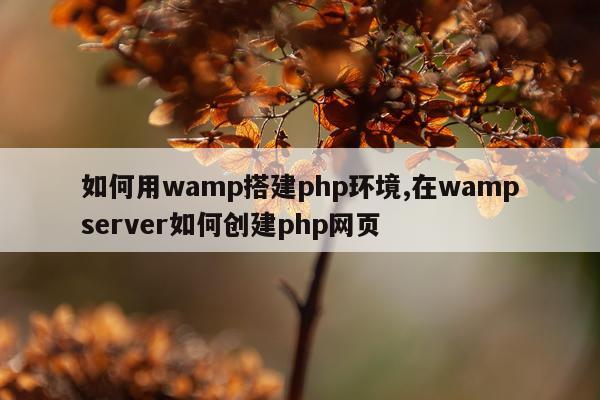 如何用wamp搭建php环境,在wampserver如何创建php网页
