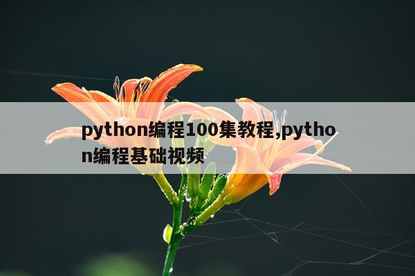 python编程100集教程,python编程基础视频