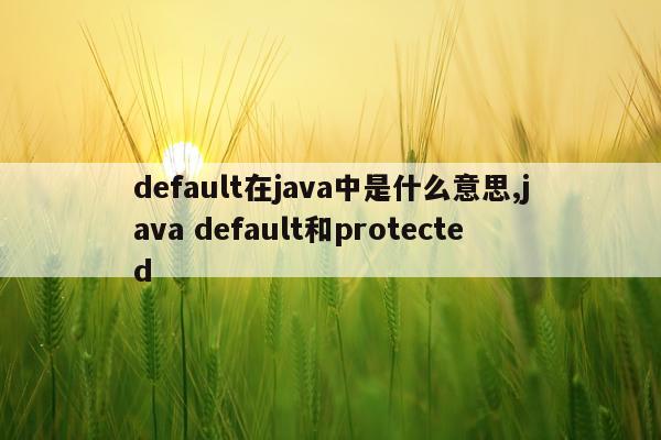 default在java中是什么意思,java default和protected