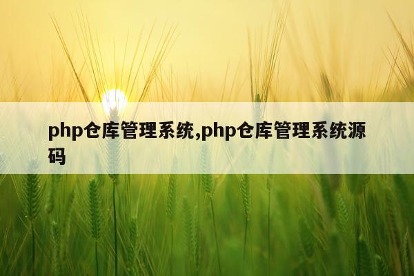 php仓库管理系统,php仓库管理系统源码