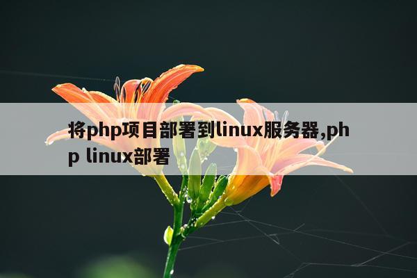 将php项目部署到linux服务器,php linux部署