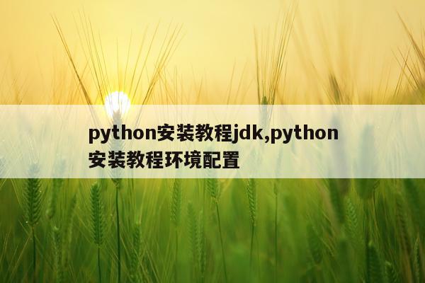 python安装教程jdk,python安装教程环境配置