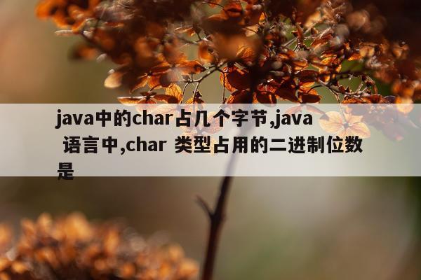 java中的char占几个字节,java 语言中,char 类型占用的二进制位数是