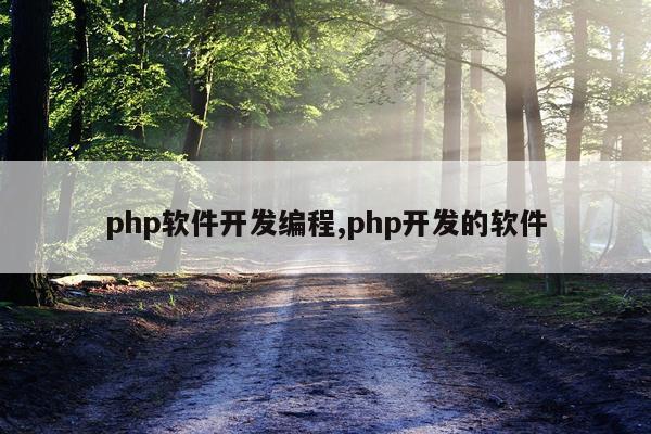 php软件开发编程,php开发的软件