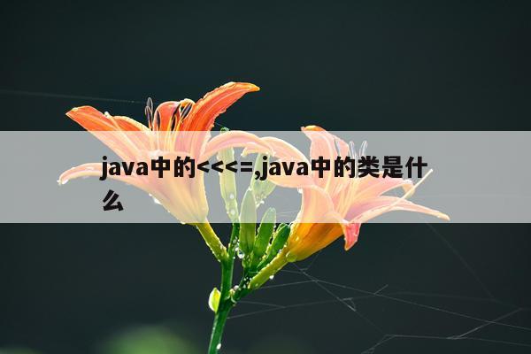 java中的