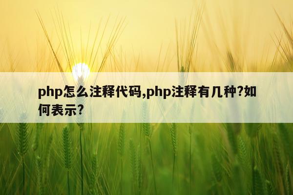 php怎么注释代码,php注释有几种?如何表示?