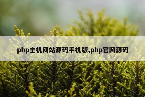 php主机网站源码手机版,php官网源码