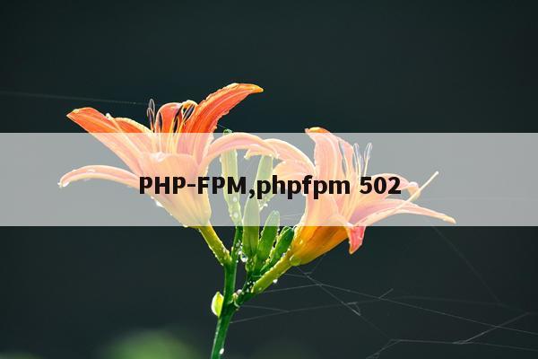 PHP-FPM,phpfpm 502