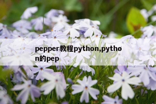 pepper教程python,python的pep