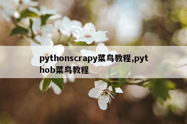 pythonscrapy菜鸟教程,pythob菜鸟教程
