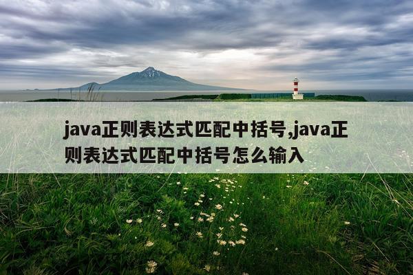 java正则表达式匹配中括号,java正则表达式匹配中括号怎么输入