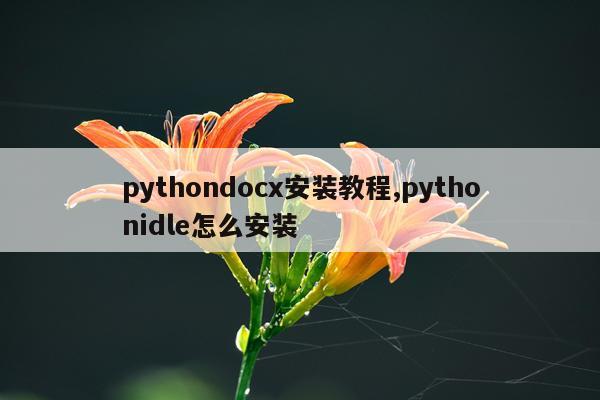 pythondocx安装教程,pythonidle怎么安装