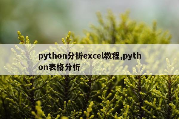 python分析excel教程,python表格分析