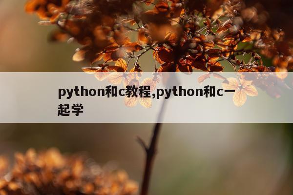 python和c教程,python和c一起学