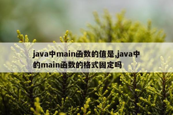 java中main函数的值是,java中的main函数的格式固定吗