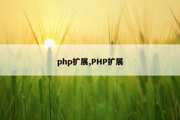 php扩展,PHP扩展