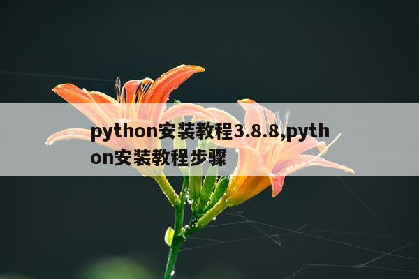 python安装教程3.8.8,python安装教程步骤