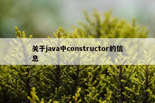 关于java中constructor的信息