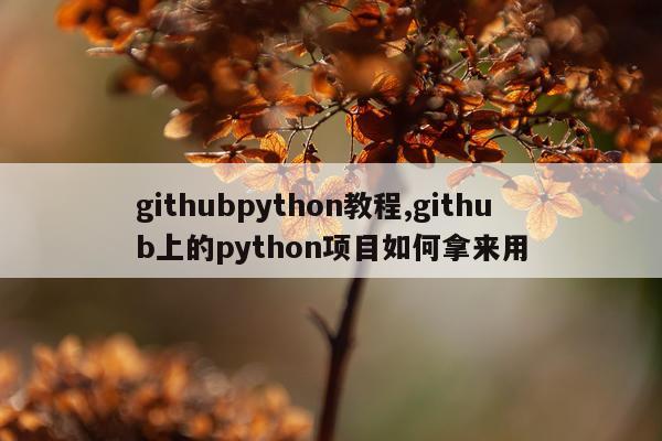 githubpython教程,github上的python项目如何拿来用