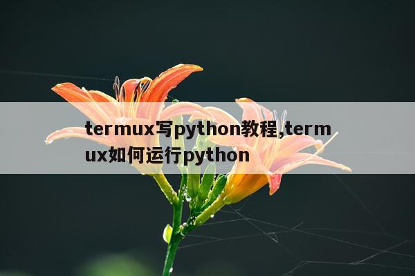 termux写python教程,termux如何运行python