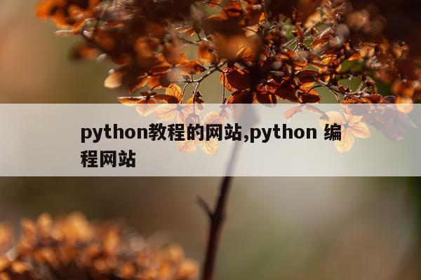 python教程的网站,python 编程网站